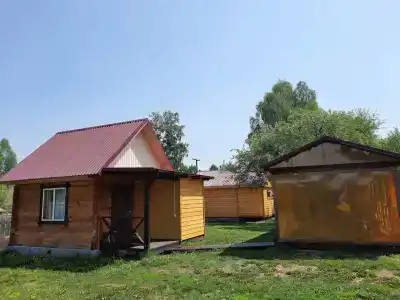 Кедровка - 13