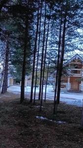 Челмужская усадьба - 87