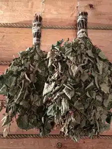 Петров Дом - 51