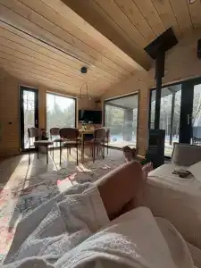 Betula - 60