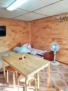 База отдыха у Ольги - 19