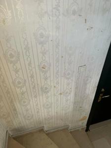 Monarch Istanbul - 32