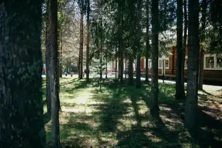 Малые Карелы - 35
