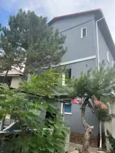 Ibis 10 - 0