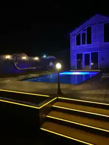 Ленивый Дельфин - 84