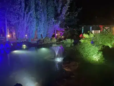 Аквани - 18