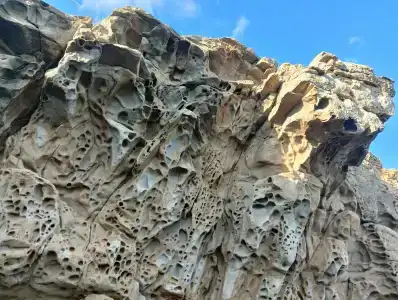 Лонгвина - 88