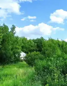 Сибарит - 3