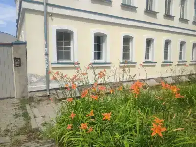 Троицкий - 19