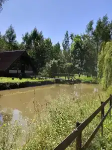 Мультиферма - 78