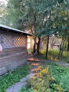 Сокол - 14