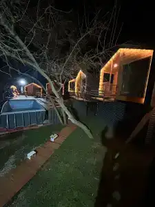 Амбассадор - 85