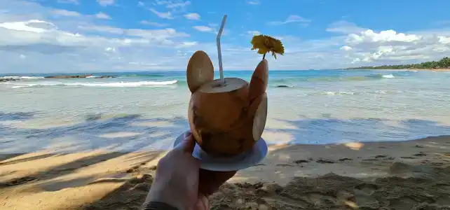 Pandanus Beach Resort & Spa - 72