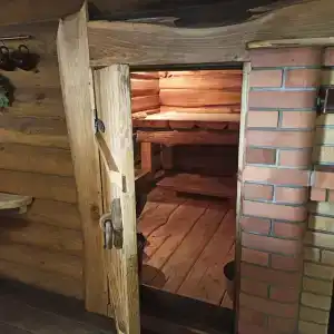 Золотой фазан - 47