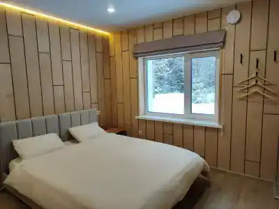 Сосновые шишки - 19