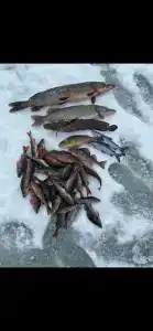 НаСегозеро - 34