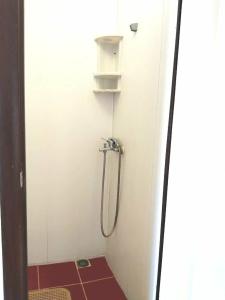 Маргарита - 79