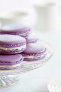 Hyatt Regency Chennai - 49