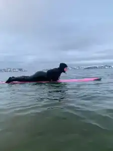 Арктик серф - 70