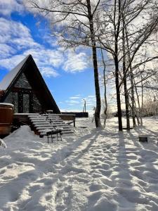 Ильинка лес - 68