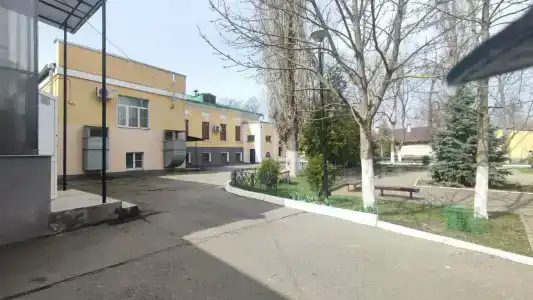 Березка - 5