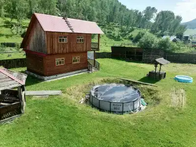 Золотая пчела - 38