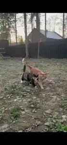 Дом с Душой - 16