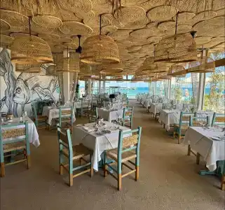 Desert Rose Resort - 92