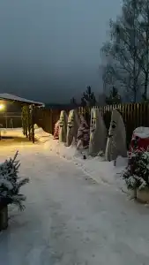Дом-баня на Хуторе в Першино - 28