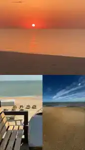 Атлант Экзотик - 38