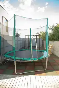 Кипарис - 26