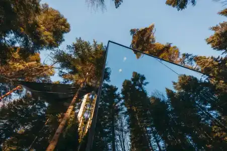 Magic Forest - 32