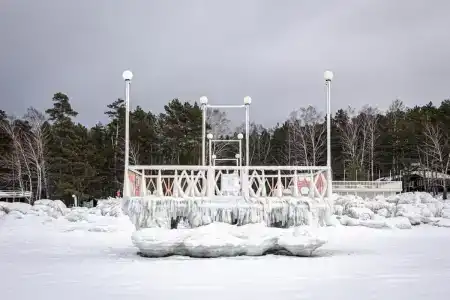 Звезда - 44