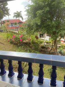 Top Resort - 42