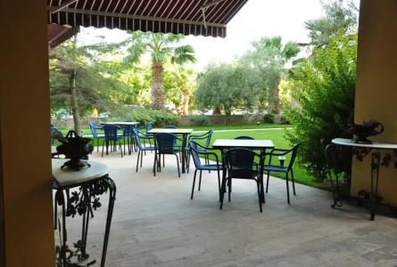 Palm Court Suites - 41