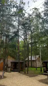 ПриродаРОДА - 73