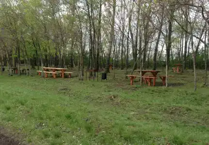 Колючий окунь - 21