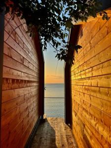 Амбассадор - 30