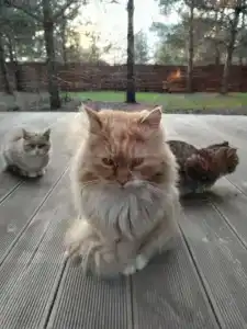 Сосенки Lounge - 20