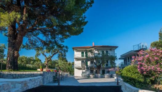 Mirabilia Boutique - 2