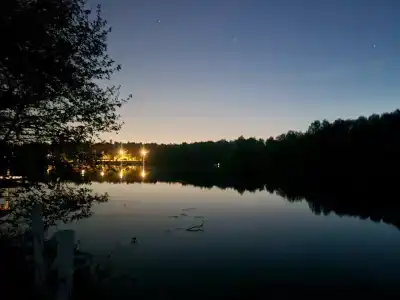 Гуси-Лебеди - 71