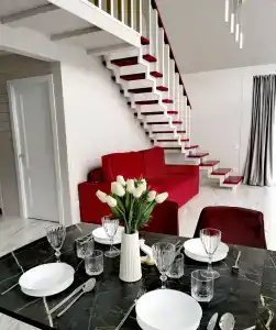 Altay dream house - 8