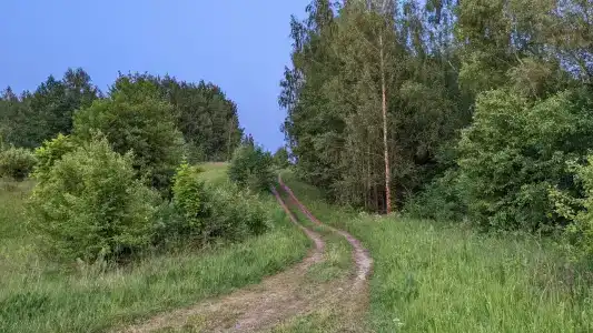 Кирицы - 13