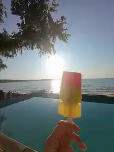 Амбассадор - 57