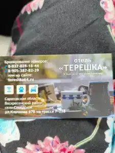 Терешка - 16