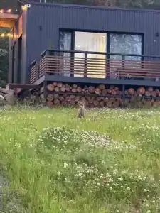 Jakoniemi village - 36