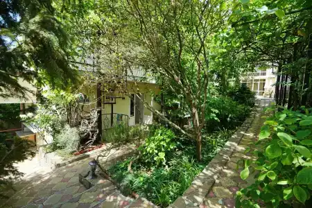 Пальмира - 14