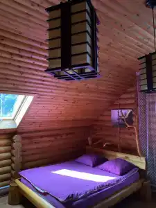 Кедровый - 7