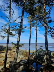 Онега Story - 7