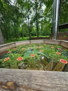 Сабадури - 41